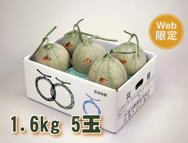 【送料込】夕張メロン【優品】　約1.6kg×5玉