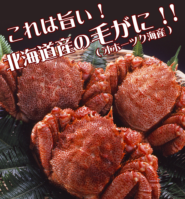 【送料込】チルドボイル毛蟹　約400ｇ×1尾