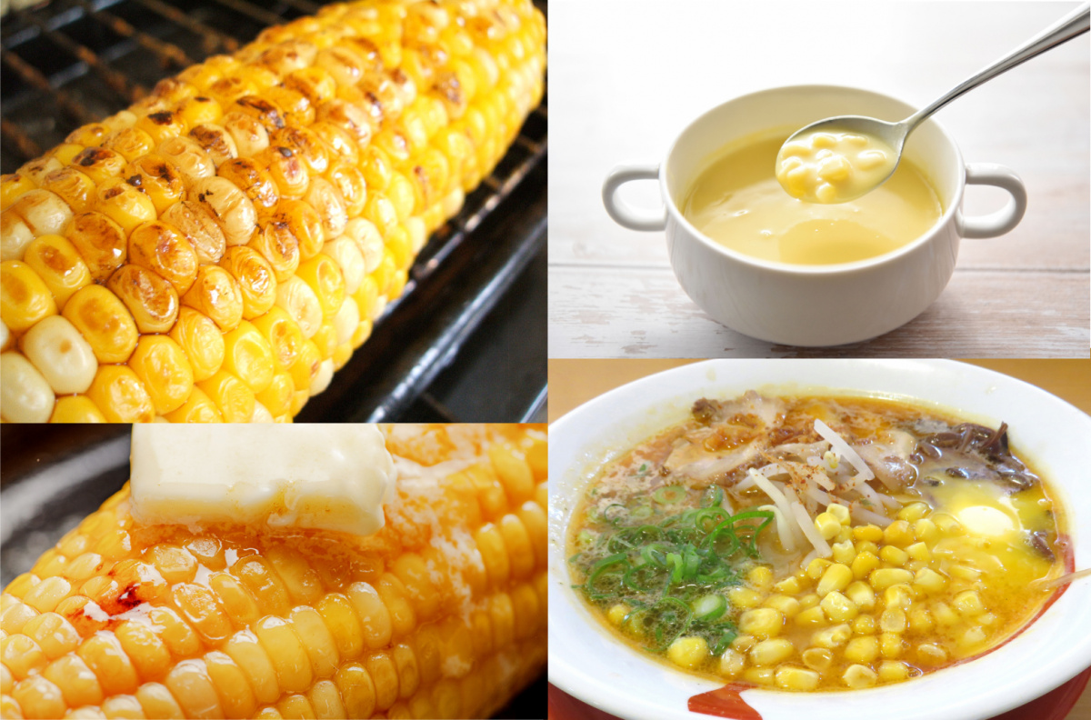 【直送】【送料込】北海道産 とうもろこし(10本) 【直送】【送料込】北海道産 とうもろこし(10本)