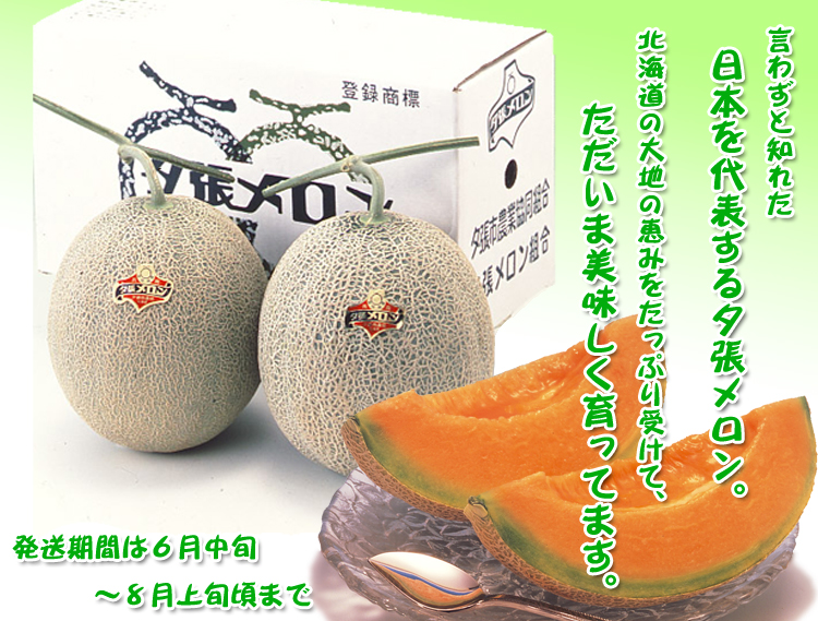 【送料込】夕張メロン【優品】　約1.3kg×1玉　